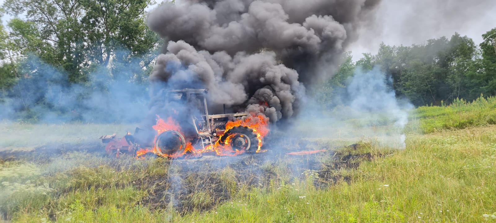 B1 - Brandverdacht - Rauchentwicklung-20.07.2024 12:30