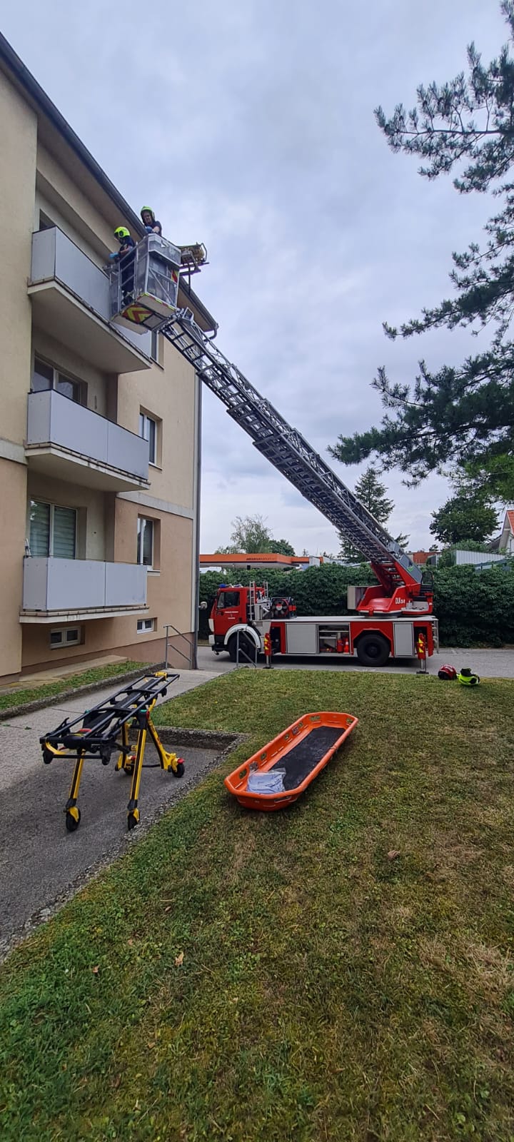 T1 - Öffnung - Tür-05.08.2024 11:09
