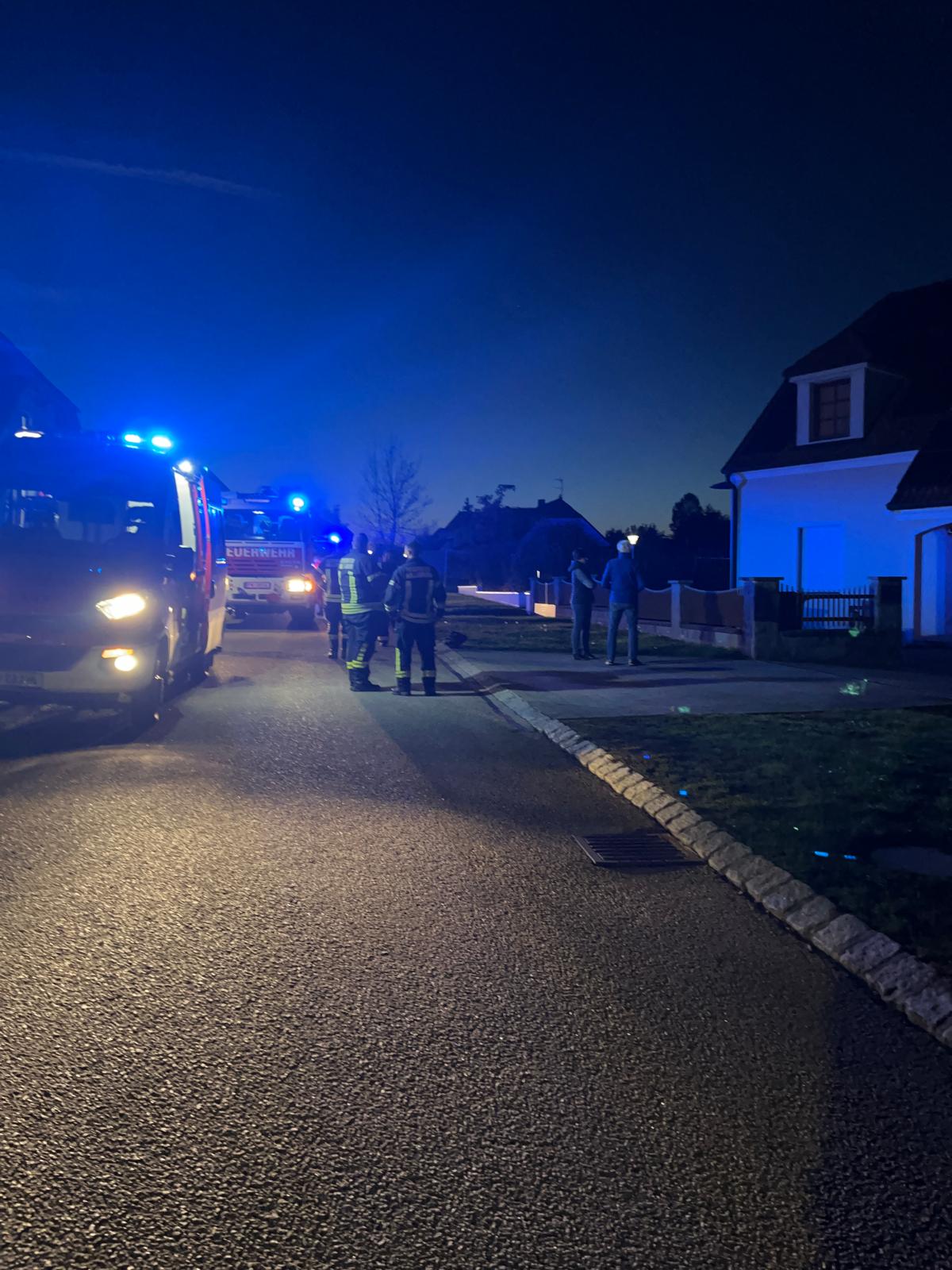 S1 - Gaseinsatz-28.10.2024 17:12