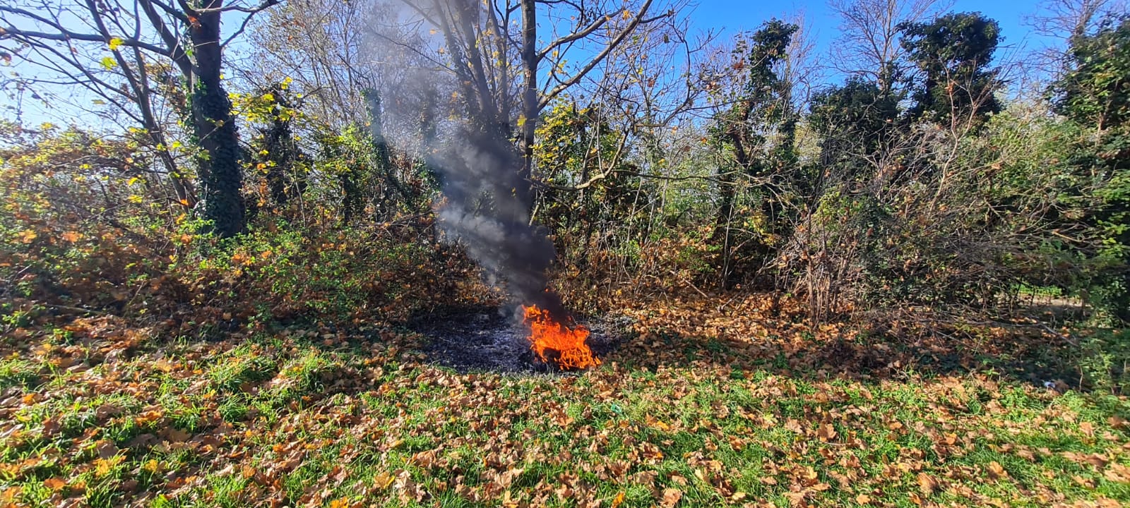 B1 - Kleinbrand-04.11.2024 12:43