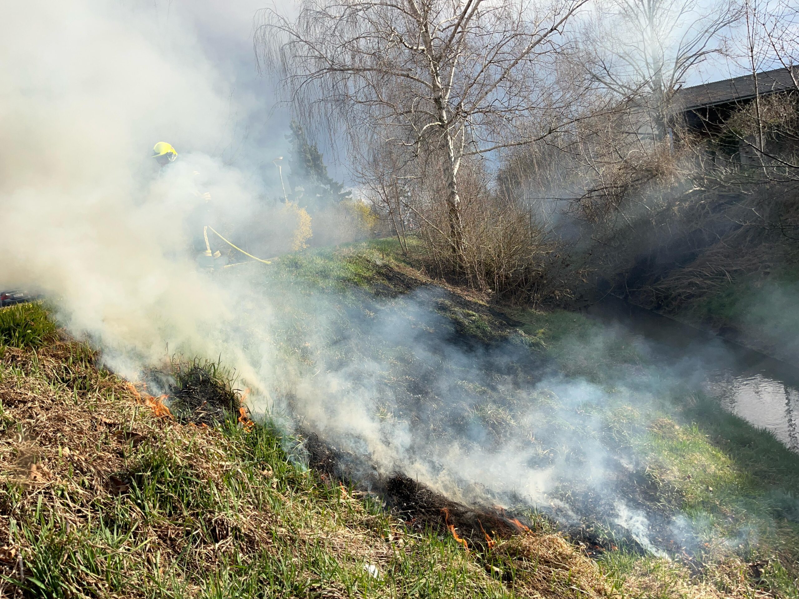 B1 - Vegetation - Flur-23.03.2025 16:14